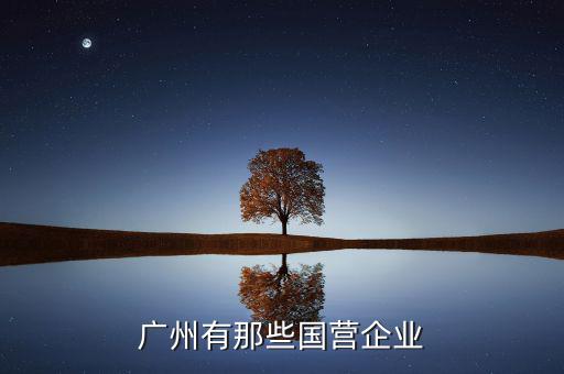 廣州國企股有什么，廣州有哪些大型國企