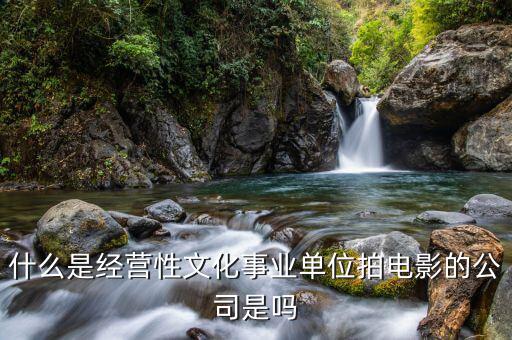 什么是經(jīng)營性事業(yè)單位，哪些屬于經(jīng)營性文化事業(yè)單位