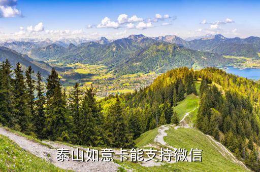 泰山如意卡vip是什么卡，泰山卡屬于什么銀行