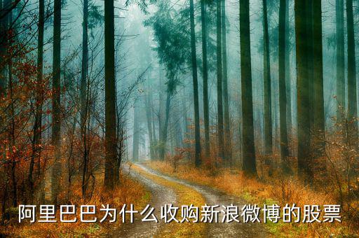 新浪微博為什么在盈利后才上市，新浪微博為何上市