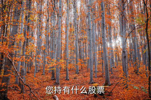 張正委持有什么的股票，香港中央代理人持有哪些股票