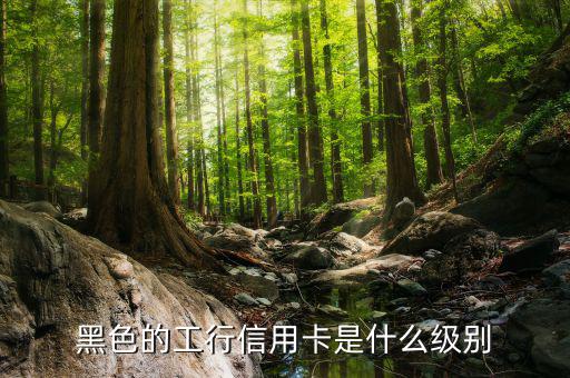 工商銀行的黑卡有什么權(quán)限，工行是不是出了一款運(yùn)通黑卡啊我想問的是想申請(qǐng)運(yùn)通黑卡要在當(dāng)?shù)?/></a></span><span id=