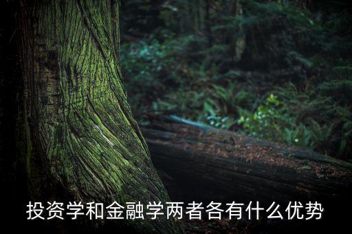投資學(xué)有什么用，投資學(xué)和稅務(wù)學(xué)專(zhuān)業(yè)各自具體是學(xué)什么的以后就業(yè)前景及方