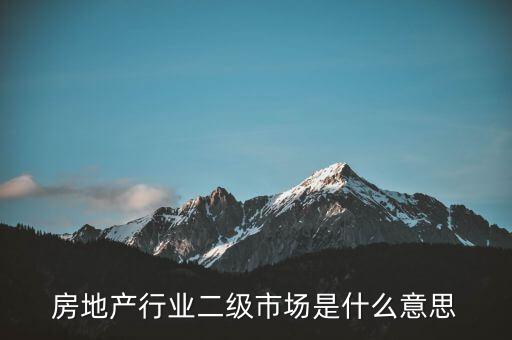 什么是二級(jí)行業(yè)，會(huì)計(jì)中所說(shuō)的一級(jí)二級(jí)市場(chǎng)是指什么