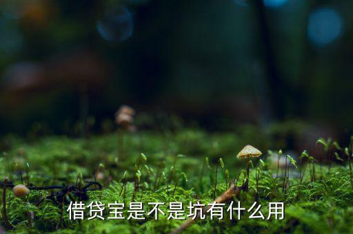 借貸寶賺利差什么意思，借貸寶賺利差是什么意思