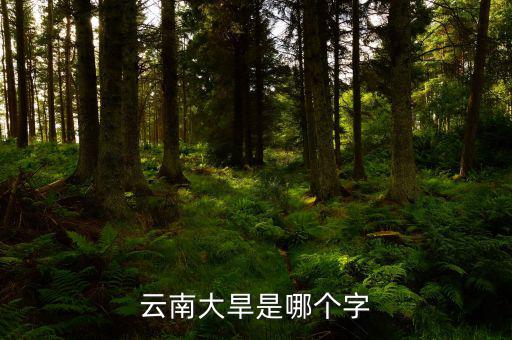 云南大旱是個什么字，云南大旱是哪個字
