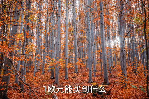 一歐元能買什么，1歐元在倫敦可以買到什么