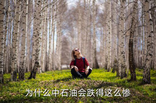 中石油上市為什么狂跌，為什么中石油會跌得這么慘