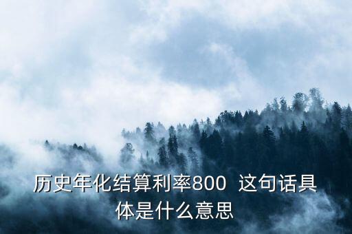 年化結(jié)算利率是什么，歷史年化結(jié)算利率800  這句話具體是什么意思