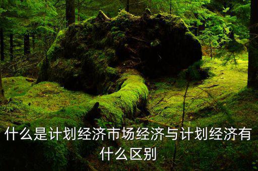 什么是市場經(jīng)濟(jì)和計劃經(jīng)濟(jì)，什么叫市場經(jīng)濟(jì)