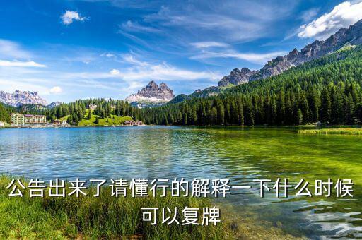 公告出來了請懂行的解釋一下什么時(shí)候可以復(fù)牌