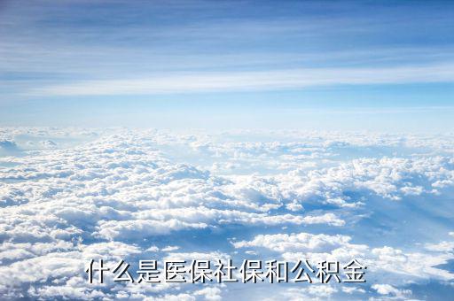 工資社保公積金是什么，什么意思啊誰(shuí)能給我講講社保和公積金什么意思