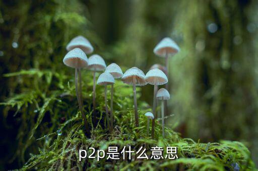 p2p公司是什么意思，P2P公司是什么意思