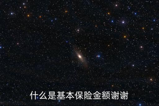 什么叫基本保險金額，基本保險金額是什么意思