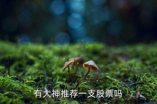 申萬宏源能購買什么股票，有大神推薦一支股票嗎