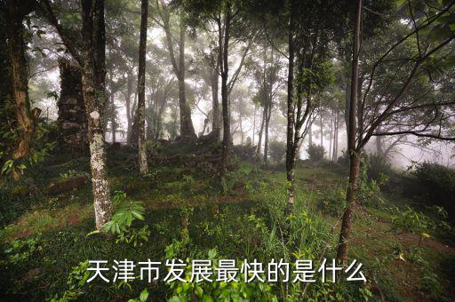 天津靠什么發(fā)展，天津市發(fā)展最快的是什么