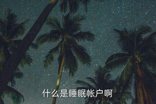 什么是睡眠賬戶，什么是睡眠帳戶啊
