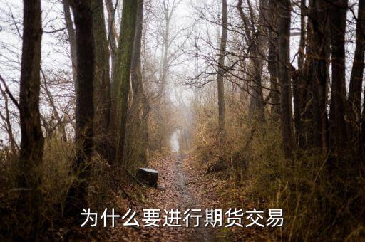 為什么國內(nèi)期貨，為什么要做期貨投資