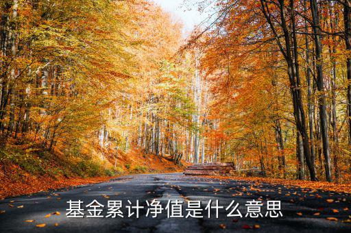 基金累計(jì)凈值是什么意思，基金凈值累計(jì)凈值各指什么