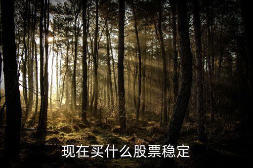 買什么股票比較穩(wěn)妥，現(xiàn)在買什么股票穩(wěn)定