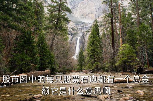 股市圖每只股票的總量是什么意思，股票總量是什么意思