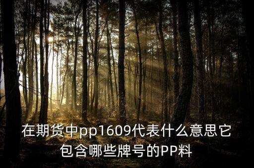 大商所的塑料指數(shù)是什么意思，請問在同花順期貨軟件中的塑料指數(shù)I888反而我在大商所卻找不到了