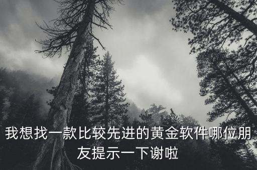 看黃金用什么軟件，我想找一款比較先進(jìn)的黃金軟件哪位朋友提示一下謝啦