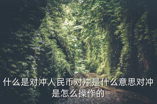 什么是基金a基金b對沖，什么是對沖人民幣對沖是什么意思對沖是怎么操作的