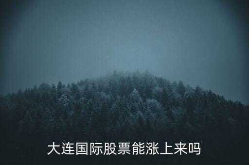 大連國際什么時候漲，大連國際股票能漲上來嗎