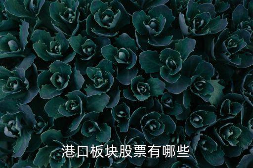 福建有什么港口股票，福建有哪些優(yōu)良的港口