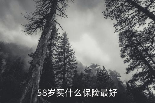 58歲女性做什么保險，58歲女性可以辦哪些保險啊