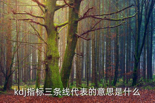 股票過(guò)頭是什么意思，關(guān)于股票的一些問(wèn)題