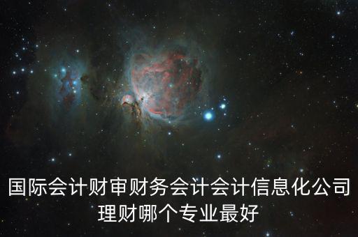 財(cái)審會(huì)是什么，國(guó)際會(huì)計(jì)財(cái)審財(cái)務(wù)會(huì)計(jì)會(huì)計(jì)信息化公司理財(cái)哪個(gè)專業(yè)最好