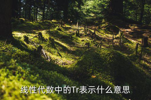 一陽穿四線說明什么，一陽穿四線成交增量的股票會(huì)漲嗎