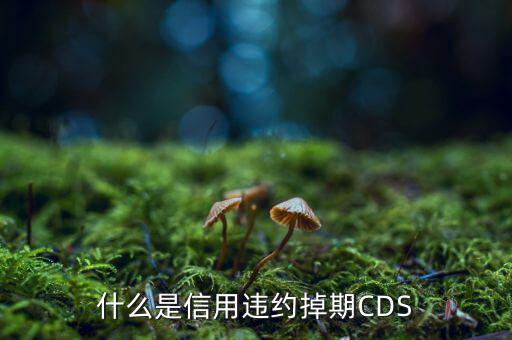 什么是信用違約掉期，什么是信用違約掉期