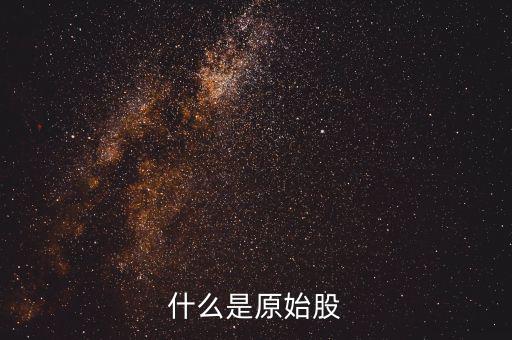 公司原始股是什么，什么是原始股怎樣買原始股