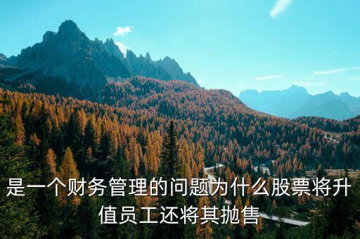 為什么要拋售股票，是一個(gè)財(cái)務(wù)管理的問(wèn)題為什么股票將升值員工還將其拋售