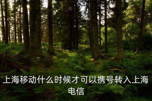上海移動什么時(shí)候才可以攜號轉(zhuǎn)入上海電信