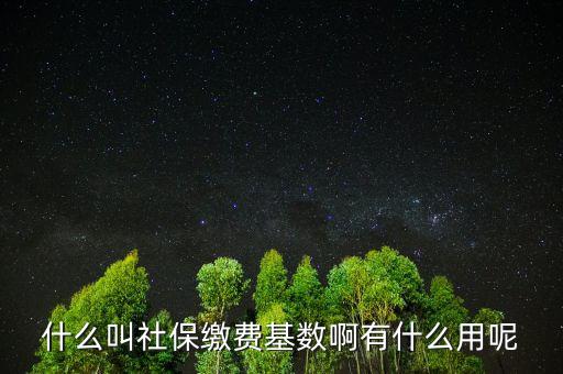 社保繳費(fèi)基數(shù)有什么用，什么叫社保繳費(fèi)基數(shù)啊有什么用呢