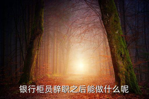 銀行辭職后做什么，銀行柜員辭職之后能做什么呢