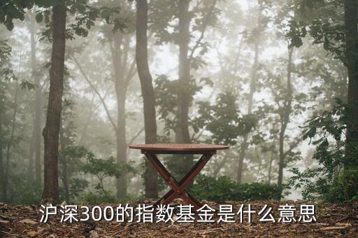 基金滬深300什么，滬深300的指數(shù)基金是什么意思