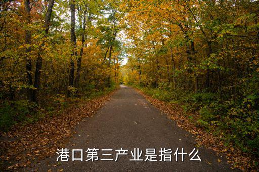 什么是第三產(chǎn)業(yè)，港口第三產(chǎn)業(yè)是指什么