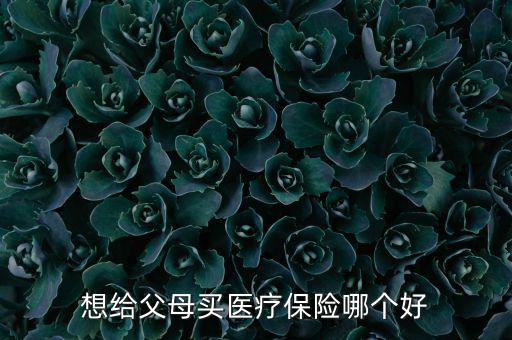 給父母買什么醫(yī)療保險好，想給父母買醫(yī)療保險哪個好