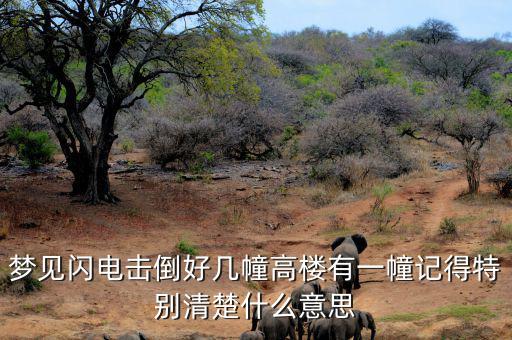 什么是閃電崩盤，a mini flash crash什么意思