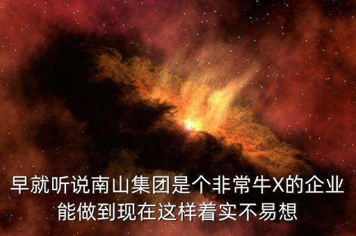 南山集團(tuán)對(duì)南山村的作用有什么，南山村的介紹