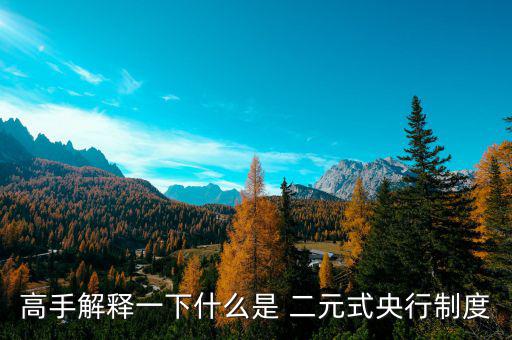 什么是二元體制，什么是二元制