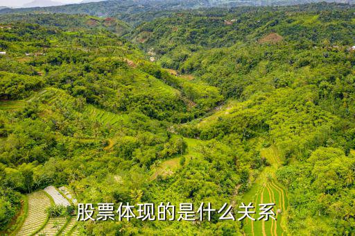 股票體現(xiàn)的是什么，股票到底反映的是什么