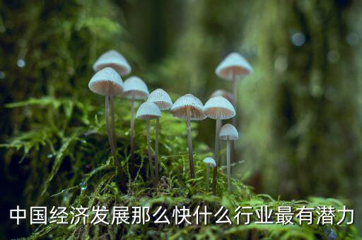 未來中國經(jīng)濟什么行業(yè)可以，中國經(jīng)濟發(fā)展那么快什么行業(yè)最有潛力