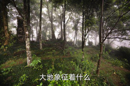 高地價象征什么，大地象征著什么