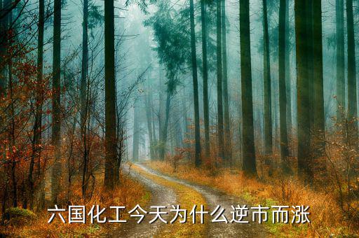 六國(guó)化工有什么概念，六國(guó)化工和六國(guó)化肥是一個(gè)意思嗎
